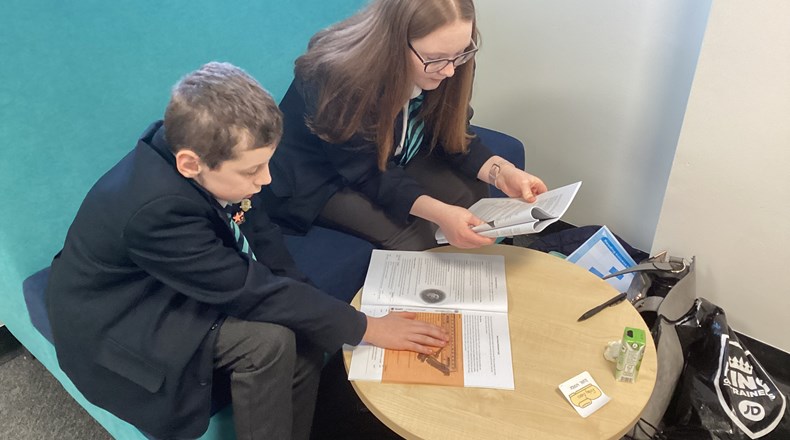 Peer reading programme