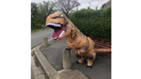 Reubesaurus