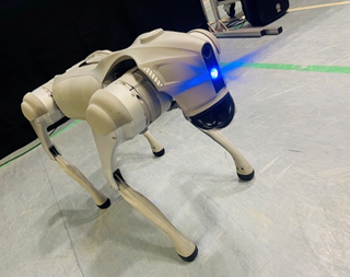 Fluffy AI Dog 