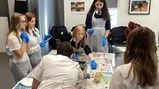 Year 10 artists